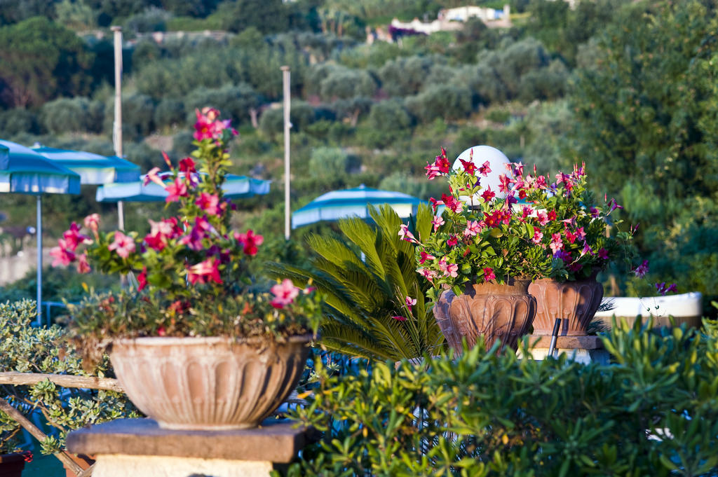 Hotel Poggio Del Sole Forio di Ischia Kültér fotó