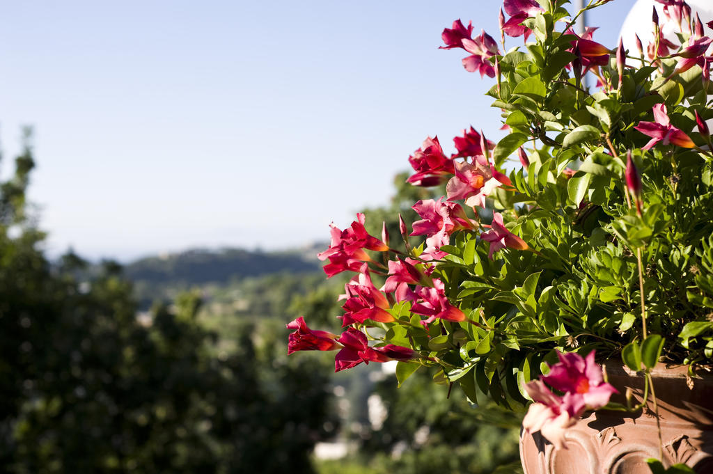 Hotel Poggio Del Sole Forio di Ischia Kültér fotó